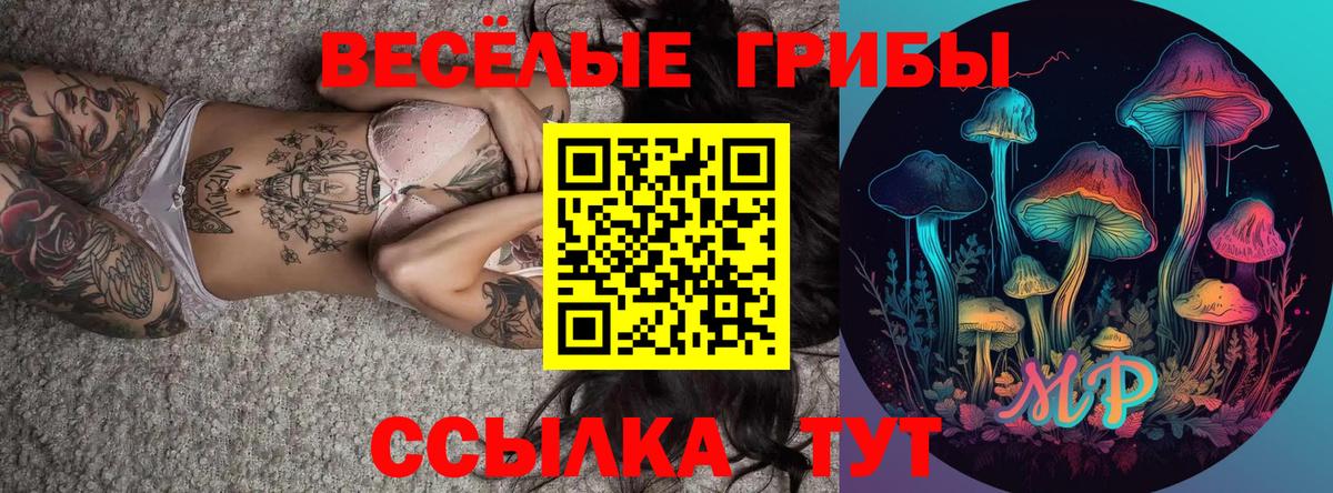 Псилоцибиновые грибы мухоморы Волхов