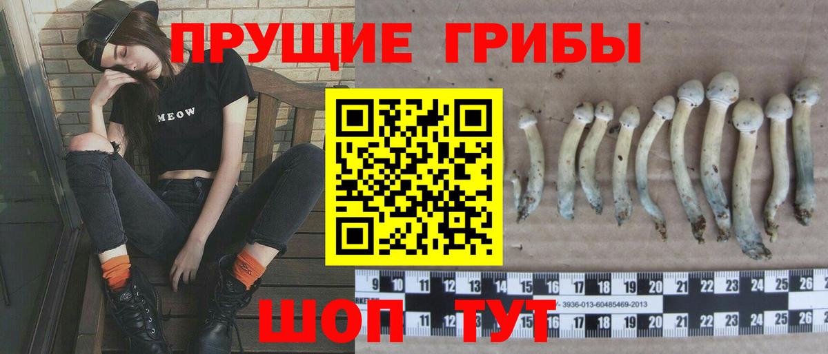 Волхов  Галлюциногенные грибы мицелий  Вход с VPN  Галлюциногенные грибы мицелий 